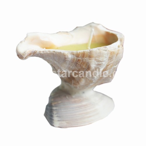 Shell Massage Candle MS001