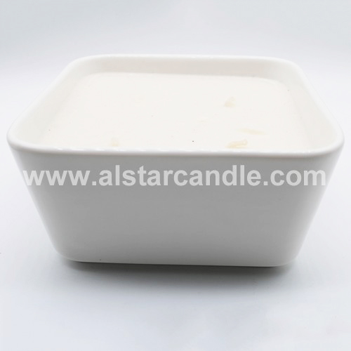 Ceramic Scented Soy Candle SC005